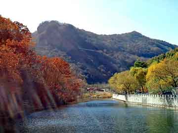 新澳天天开奖资料大全旅游团，鸡东关键词优化